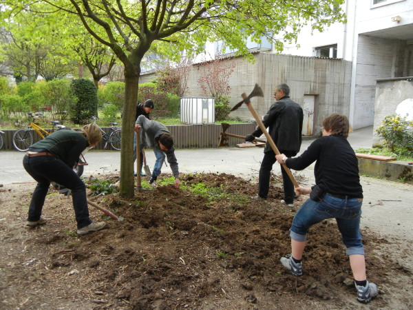 Baumscheibe Hacken Gartenfeld