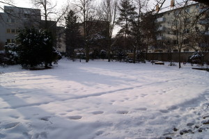 SONY DSC